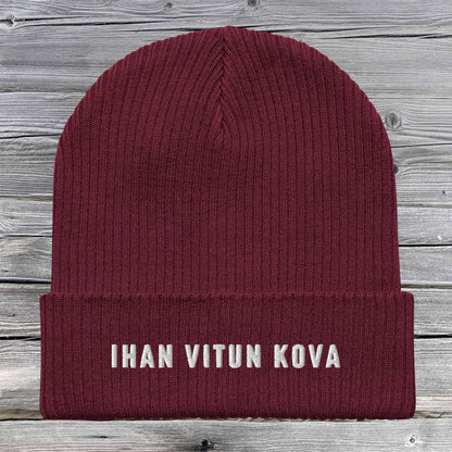 Ihan Vitun Kova pipo - Hevimies