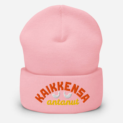 KAIKKENSA ANTANUT pipo - Hevimies