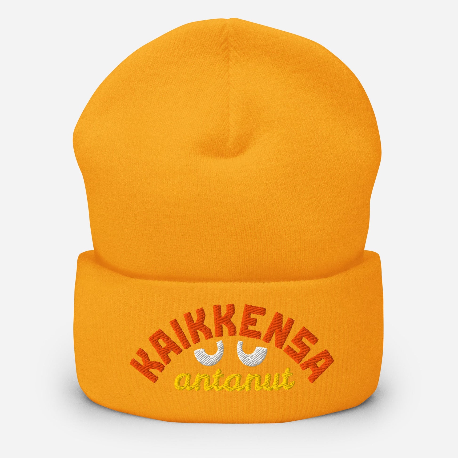 KAIKKENSA ANTANUT pipo - Hevimies